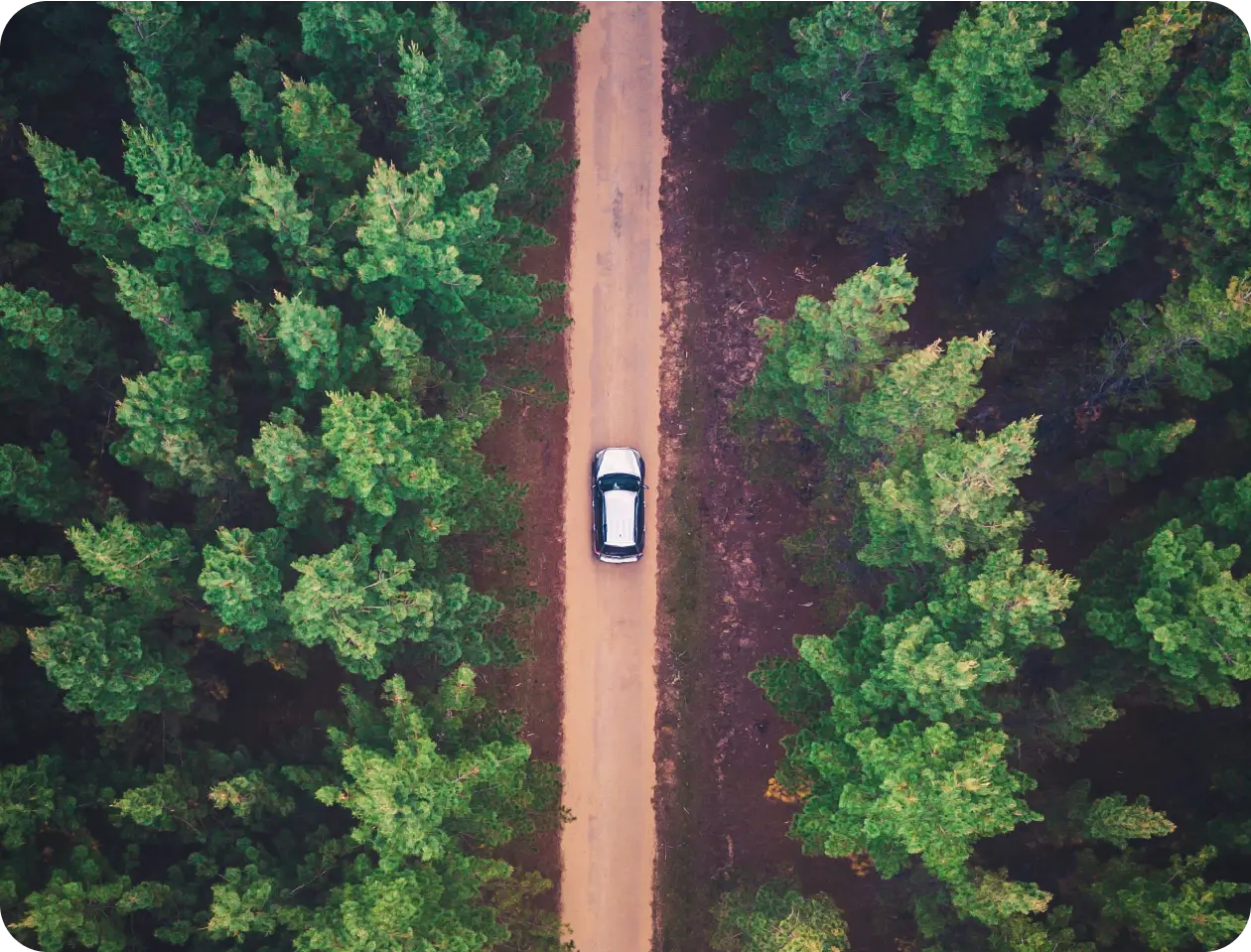 Coche en un camino rural